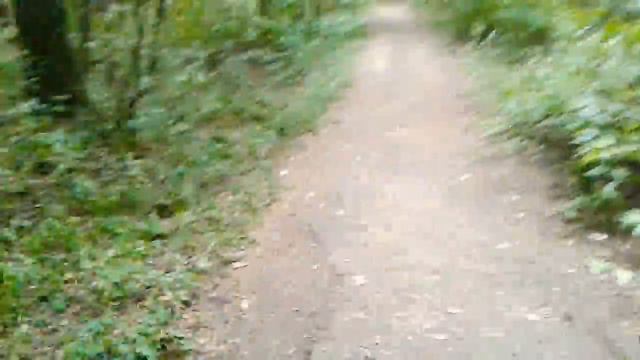 Свинолюди загаживают наш лес часть 5 смотреть онлайн