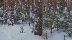 Прогулка пенсионера, по январскому лесу. Муринские пруды. Нижний Тагил.