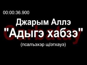 Адыгэ уэрэд | Джарым Аллэ - Адыгэ хабзэ (псалъэхэр щӏэтхауэ)