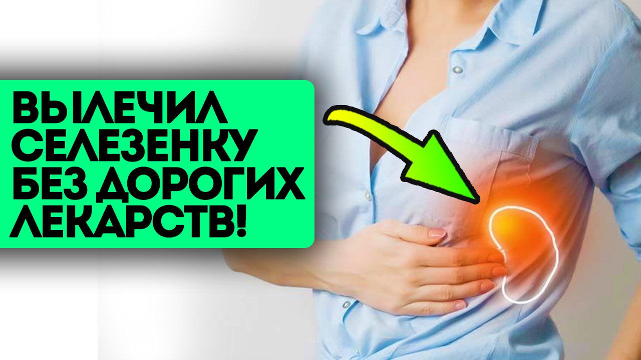 Как вылечить селезенку. Как лечить селезенку народными средствами. Лечение селезенки народными средствами. Как лечить селезенку в домашних условиях. Чем лечить селезёнку лекарства.