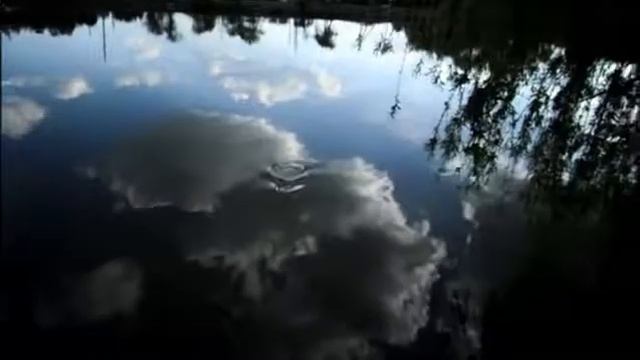 Рыбалка биг- фиш ловим карпа смотреть онлайн