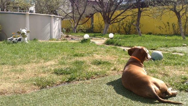 Нильс смотреть онлайн