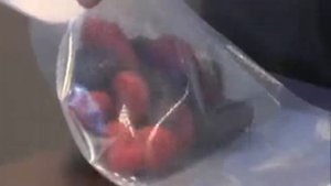 Вакуумный упаковщик Pack Plus VAC 570