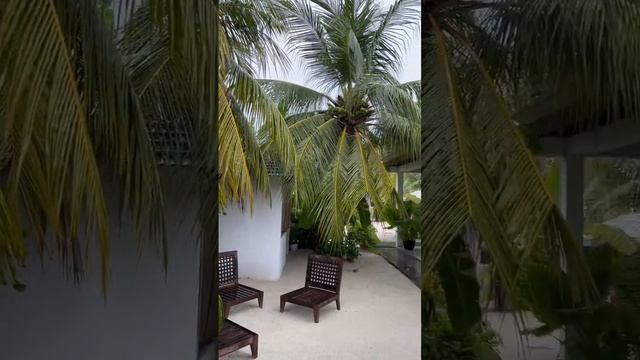 UFA escape, Остров Дигура, Мальдивы / Island Dhigurah, Maldives