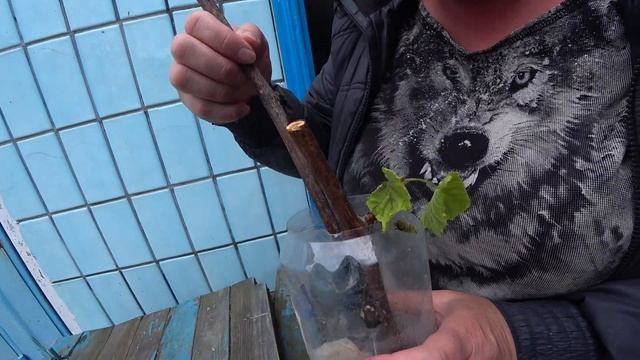 Проблемы юга Россети работать не хотят. смотреть онлайн