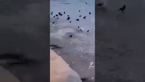 Никто не знает наперёд - кого и с кем судьба сведёт...Прекрасные стихи