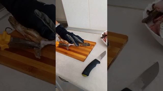 Анапа разделка ядовитой рыбы с чёрного моря скарпена