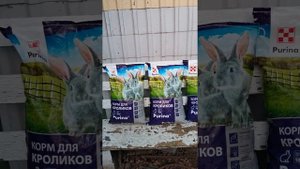 Пурина самый лучший комбикорм с кокцидиостатиками на котором ростут Кролики. Мешки по 10 кг