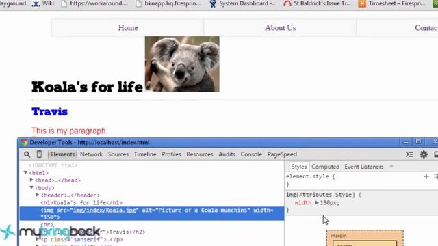 HTML and CSS Tutorial 13   Hidden, Block, Inline, None and display properties