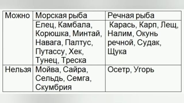 Красноухая черепаха, что надо знать и понимать?
