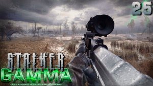 S.T.A.L.K.E.R. Anomaly GAMMA (25) ► Как по маслу