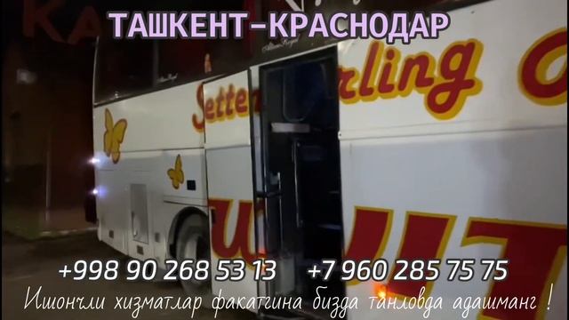 Ташкент Краснодар автобус Краснодар Ташкент автобус Ростов Ташкент автобус Ташкент Ростов автобус