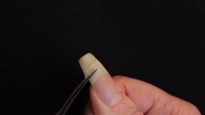 Cutting off my long natural nails... again.