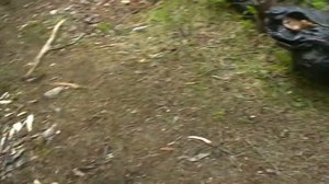 Коп в Карелии 2018.По местам СС