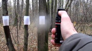 Сравнение "Блэк-форсаж", Black-65 и "факел-2" 75мл. Часть 3.