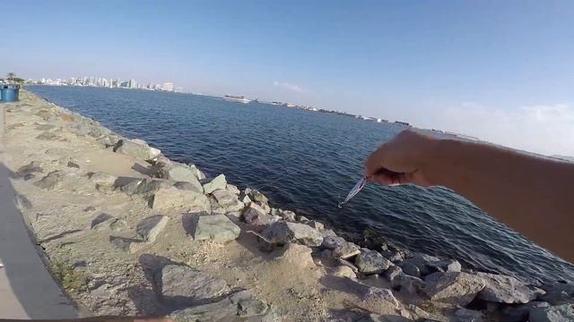**MAJOR CRAFT JIGPARA MICRO 15G** -- Micro Shore Jigging for Multi-Species! (San Diego Bay) смотреть онлайн