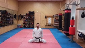 Онлайн-тренировка по каратэ до шотокан. Базовая техника рук на месте #Будокан #кихон #каратэ