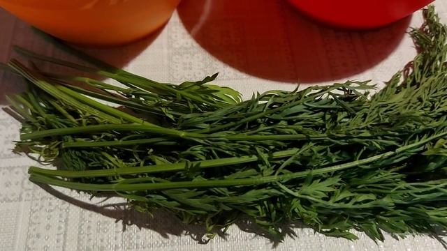 Помидоры с морковной ботвой смотреть онлайн