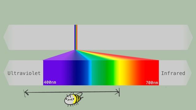 Infrared Photography Using a Raspberry Pi Camera Module 3