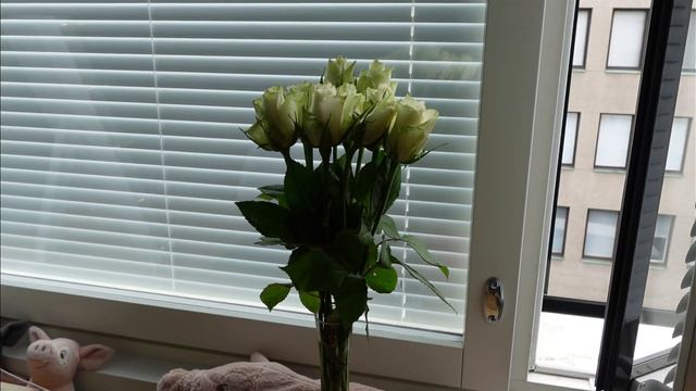 Рум-тур по моей квартире в Финляндии. Приватный двор в центре города смотреть онлайн