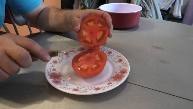 ? Томат ДИАДЕМА F1| Урожайность 5.5 кг\куст| Устойчив к кладоспориозу| Идеальный томат? смотреть онлайн