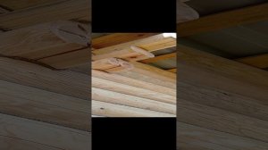 Конопатка шлифовка бани Кубинка.