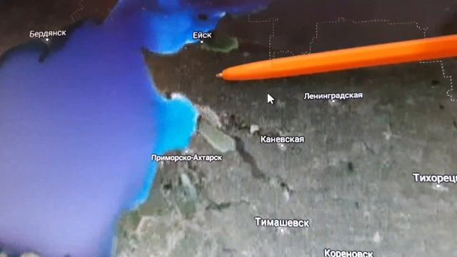 КНЯЖЕНИКА.ГДЕ В КРАСНОДАРСКОМ ВЫРАЩИВАТЬ СОРТОВУЮ ОБЫКНОВЕННУЮ КНЯЖЕНИКУ?САЖАТЬ афродизиак!