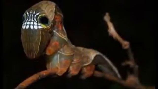 экзотические и редкие животные смотреть онлайн