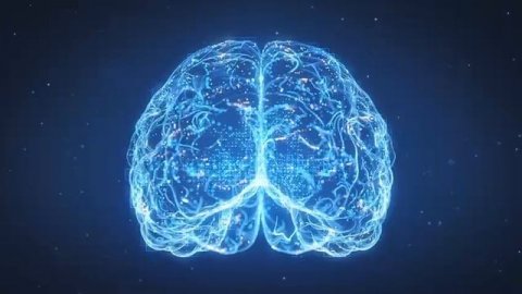 Нейропсихология