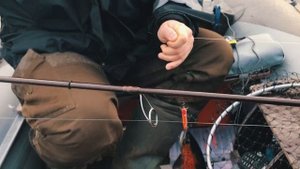 Закрытие сезона жидкой воды на Кольском полуострове. Троллинг на Верхнетуломском водохранилище.