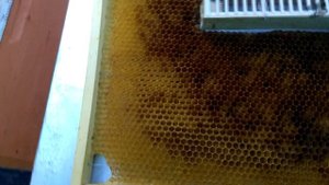 Установка изоляторов Миленина.