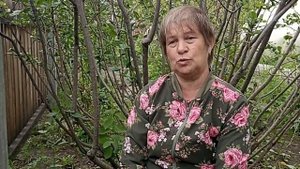 Бруннера сибирская