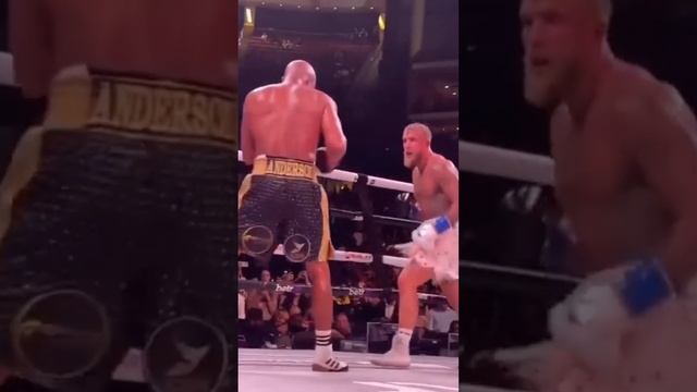 Jake Paul vs Anderson Silva. Only knockdown!