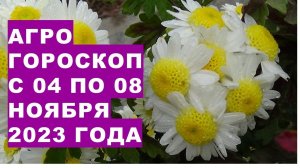 Агрогороскоп с 04 по 08 ноября 2023 года. Agrohoroscope from 04 to 08 November 2023