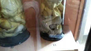 КУНСТКАМЕРА. САНКТ - ПЕТЕРБУРГ.