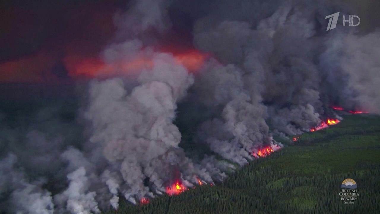 Пожары в Канаде уничтожили 4,5 миллиона гектаров леса