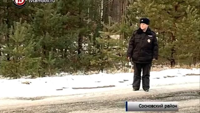 На ёлочном базаре в Тамбове можно купить новогоднюю пихту из Дании смотреть онлайн