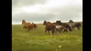 В ВЫСОЦКИЙ ПОГОНЯ ИЗ К Ф 'ЕДИНСТВЕННАЯ'