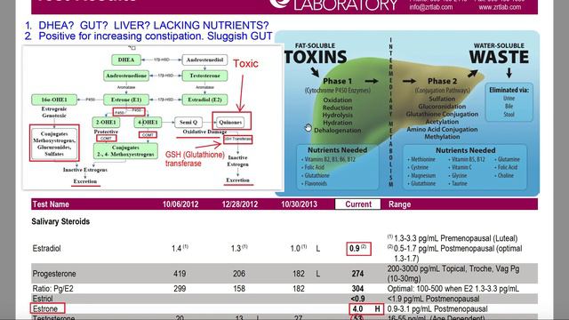 Taking Hormone Balance to the Next Level смотреть онлайн