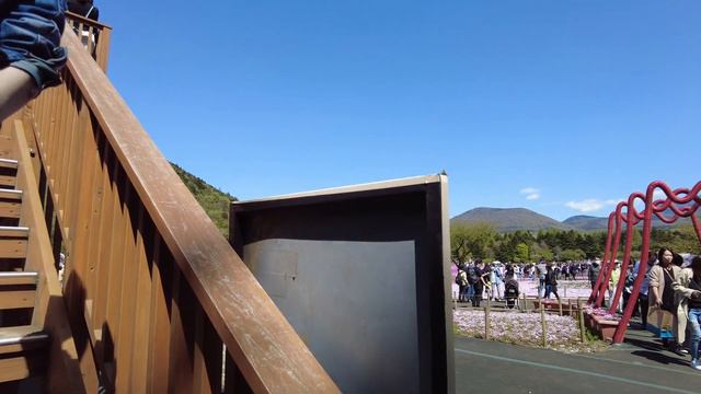 本栖湖の芝桜ーSV650でソロ探訪ー　#芝桜 #sv650 #本栖湖 смотреть онлайн