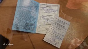 Как перевезти собаку в самолете по России. Правила и документы. Наш опыт