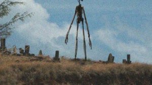 все звуки сиреноголового