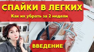Спайки в легких (как последствия пневмонии, плеврита, ковида). Как их убрать за 2 недели. Введение