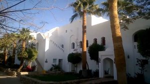 февраль 2019  ч3. domina coral bay harem 5* (шарм-эль-шейх)