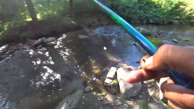 В МИКРО-РУЧЬЕ 10 см воды а РЫБЫ ПОЛНО!!! Рыбалка в Горном Алтае, ловля хариуса. смотреть онлайн