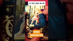 НОВОЕ ЗНАКОМСТВО Гадание Таро Онлайн shorts Светлана ВЕДА