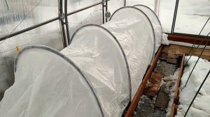 ПАРНИК "ПОДСНЕЖНИК": зелень ранней весной, защита от ожогов, заморозков