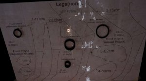 Олениха/олень из проволоки из комплекта гнутых элементов своими руками/ Christmas deer