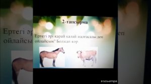 3-сынып. Әдебиеттік оқу. Судың пайдасы. Суыр сұңқар, су қайда?