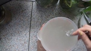 ?СОЛЕНЫЕ ОГУРЧИКИ НА ЗИМУ)?ХОЛОДНЫМ СПОСОБОМ)?ОЧЕНЬ ВКУСНЫЕ И ХРУСТЯЩИЕ)?